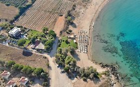 Artemis Suites